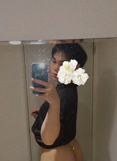 ตะวัน - Transsexual escort in Khobar Photo 5 of 11