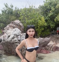 เชอร์ เชอร์ - Acompañantes transexual in Hua Hin