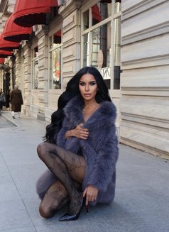 أميرة ‍ - Transsexual escort in İstanbul Photo 28 of 30