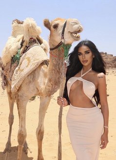 أميرة - Transsexual escort in Riyadh Photo 26 of 30