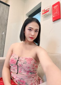 🇹🇭🇹🇭🇹🇭 - Acompañantes transexual in Al Manama Photo 13 of 13