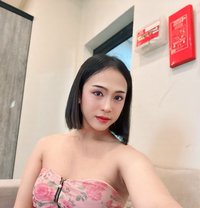 🇹🇭🇹🇭🇹🇭 - Transsexual escort in Jubail