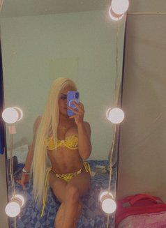 มิสเชลล์ - Acompañante transexual in Ko Samui Photo 6 of 7