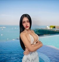 หมิงเลดี้บอย - Acompañantes transexual in Pattaya