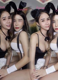 𝐕𝐈𝐏 𝐋𝐀𝐃𝐘𝐁𝐎𝐘 𝐆𝐑𝐎𝐔𝐏 𝗦𝗘𝗫★ - Transsexual escort in Pattaya Photo 16 of 17