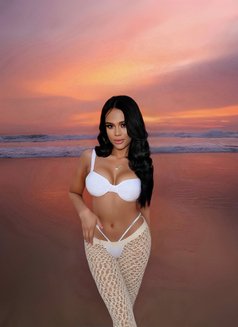Minaa good girl - Transsexual escort in Pattaya Photo 3 of 19