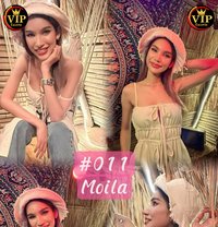 𝐕𝐈𝐏⭑𝐆𝐫𝐨𝐮𝐩𝐬 𝐒𝐄𝐗 𝟑𝐬𝐨𝐦𝐞 - Transsexual escort agency in Pattaya