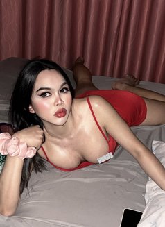 เจ้าหญิงมิมิ - Transsexual escort in Pattaya Photo 4 of 4