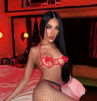 โซเฟีย - Transsexual dominatrix in Pattaya