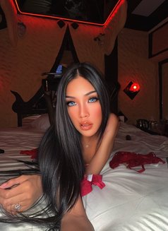 โซเฟีย - Transsexual dominatrix in Pattaya Photo 14 of 15