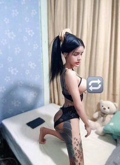 หมิงเลดี้บอย - Acompañantes transexual in Pattaya Photo 16 of 16