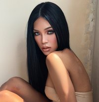 โซเฟีย - Acompañante transexual in Pattaya