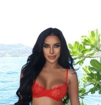 أميرة ‍ - Transsexual escort in Dubai Photo 10 of 28