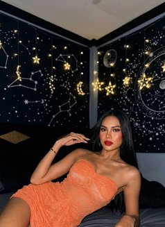 โซเฟีย - Transsexual escort in Phuket Photo 3 of 4