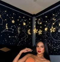 โซเฟีย - Transsexual escort in Phuket