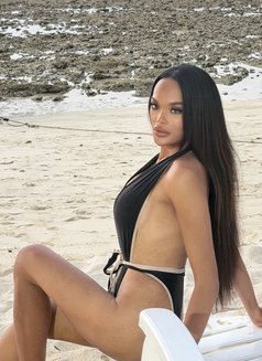 Irene Irene - Transsexual escort in Phuket Photo 11 of 13