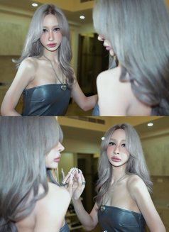 曦曦🫶🏻 深圳 - Transsexual escort in Shenzhen Photo 30 of 30