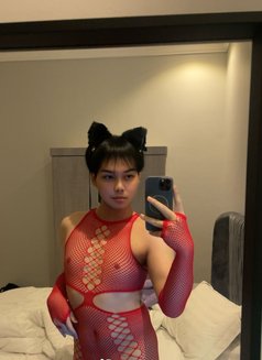 🇸🇦ตะวันใหม่ทั้งคู่ 🇸🇦 - Male escort in Khobar Photo 15 of 16