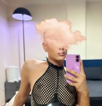 الماسة🇹🇳 - Male escort in Tunis