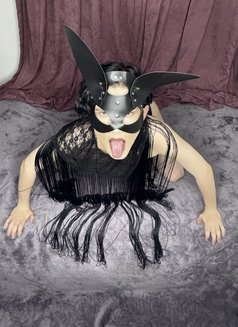 الماسة🇹🇳 - Male escort in Tunis Photo 4 of 4