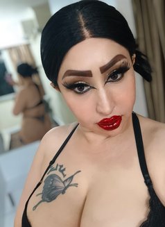 الملكة دانه الممحونة - escort in Bangkok Photo 3 of 23