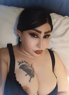 الملكة دانه الممحونة - escort in Bangkok Photo 23 of 23