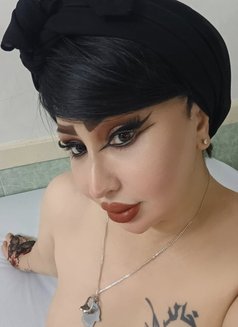 الملكة دانه الممحونة - escort in Bangkok Photo 24 of 30