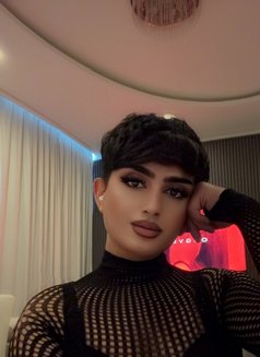 ⚜️𝓗𝓲𝓰𝓱 𝓬𝓵𝓪𝓼𝓼⚜️𝓕𝓪𝓶𝓮 𝓫𝓸𝔂⚜️ - Male escort in Al Manama Photo 16 of 16