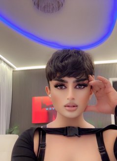 ⚜️𝓗𝓲𝓰𝓱 𝓬𝓵𝓪𝓼𝓼⚜️𝓕𝓪𝓶𝓮 𝓫𝓸𝔂⚜️ - Male escort in Al Manama Photo 1 of 10