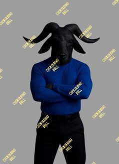 ℂ𝕌ℂ𝕂𝕆𝕃𝔻𝕀ℕ𝔾 𝔹𝕌𝕃𝕃 - Acompañantes masculino in Cairo Photo 7 of 7