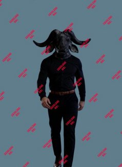 ððð°ðļðžðđðąðķðŧðīðððđðđ - Male escort in Cairo Photo 8 of 8