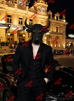 𝗖𝘂𝗰𝗸𝗼𝗹𝗱𝗶𝗻𝗴𝗕𝘂𝗹𝗹 - Male escort in Cairo Photo 10 of 10