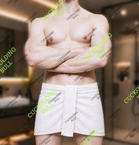 𝗖𝘂𝗰𝗸𝗼𝗹𝗱𝗶𝗻𝗴𝗕𝘂𝗹𝗹 - Male escort in Cairo