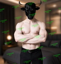 𝗖𝘂𝗰𝗸𝗼𝗹𝗱𝗶𝗻𝗴𝗕𝘂𝗹𝗹 - Male escort in Cairo