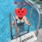 100% Gen Best Cam Girl /MMF session - escort in Colombo