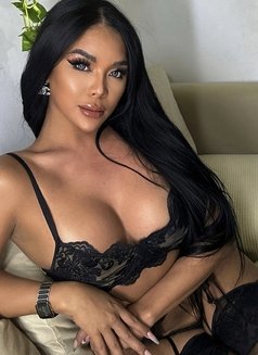🤎100%TOP BIG COCK/ASS🇵🇭Hailey Love🤎 - Transsexual escort in Abu Dhabi Photo 6 of 29
