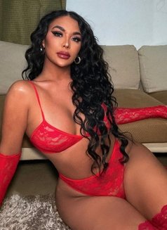 🤎100%TOP BIG COCK/ASS🇵🇭Hailey Love🤎 - Transsexual escort in Abu Dhabi Photo 8 of 29