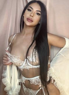 🤎100%TOP BIG COCK/ASS🇵🇭Hailey Love🤎 - Transsexual escort in Abu Dhabi Photo 21 of 30