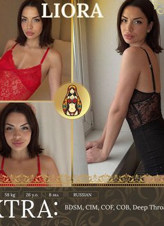 100+ TOP Slavic models - Agencia de putas in Dubai Photo 21 of 24
