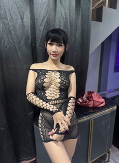 15 LADYBOY ESCORT AVAILABLE FOR 3SOME - Transsexual escort agency in Pattaya Photo 11 of 21