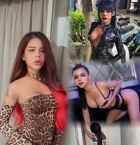 12LADYBOY 1LADY VIP GROUP SEX 3SOME - Agencia de acompañantes transexuales in Pattaya