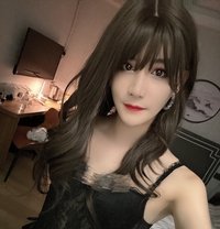 香港琪琪18 Cm - Acompañantes transexual in Hong Kong