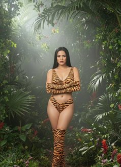 19cm BBC cam show available - Transsexual escort in Milan Photo 16 of 27