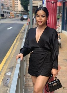 Shasha QUEEN in Hongkong - Acompañantes transexual in Hong Kong Photo 16 of 30