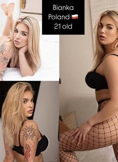 +20 VIP young fresh girls - puta in Dubai Photo 7 of 21