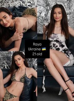 +20 VIP young fresh girls - escort in Dubai Photo 22 of 22