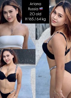 +20 VIP young fresh girls - escort in Dubai Photo 15 of 22