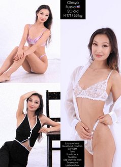 +20 VIP young fresh girls - escort in Dubai Photo 18 of 19