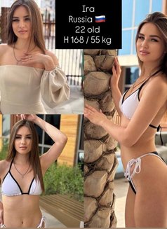 +20 VIP young fresh girls - escort in Dubai Photo 13 of 24