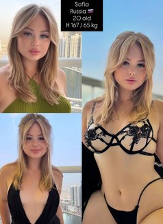 +20 VIP young fresh girls - escort in Dubai Photo 1 of 24